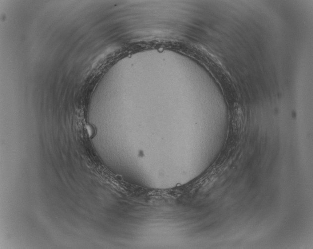 X0000071850918200607141746