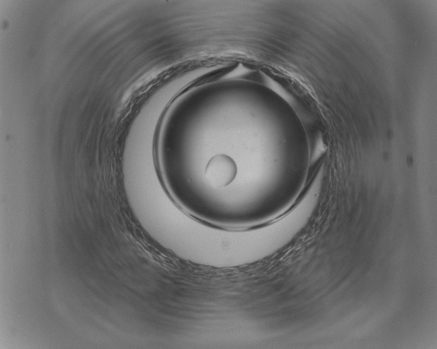 X0000071850920200607141746