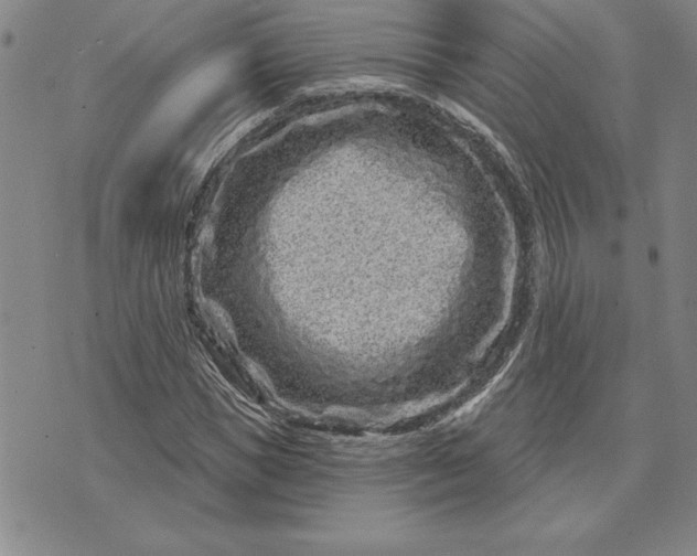 X0000071850921200607141746