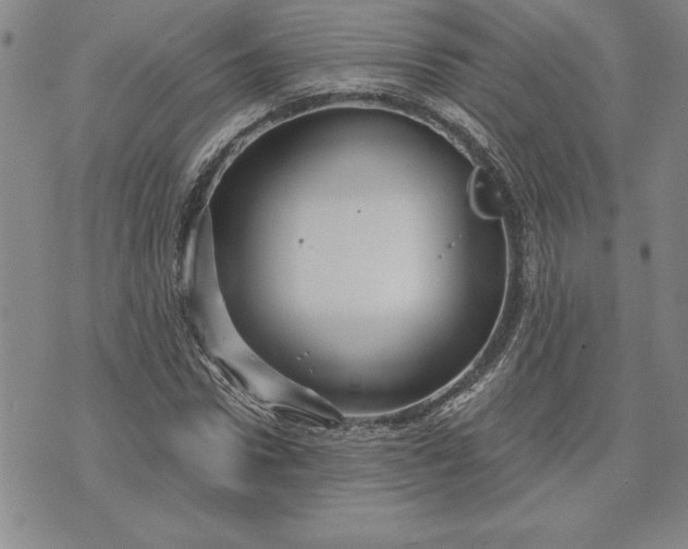 X0000071850922200607141746