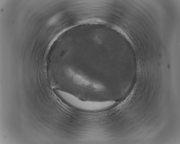 X0000071850923200607141746