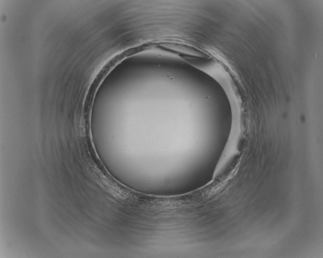 X0000071850924200607141746