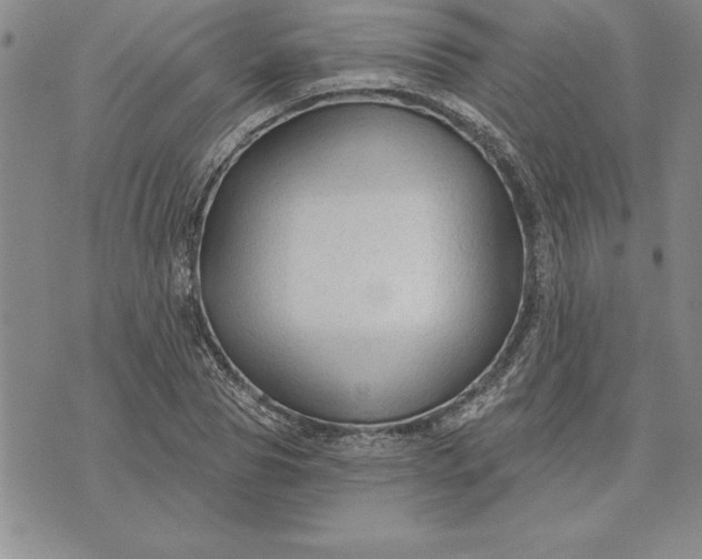 X0000071850929200607141746