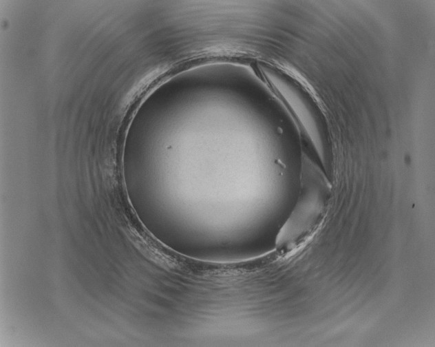 X0000071850930200607141746