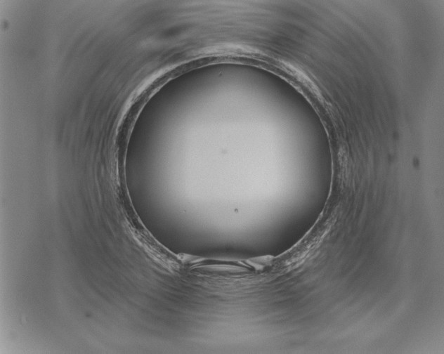 X0000071850931200607141746