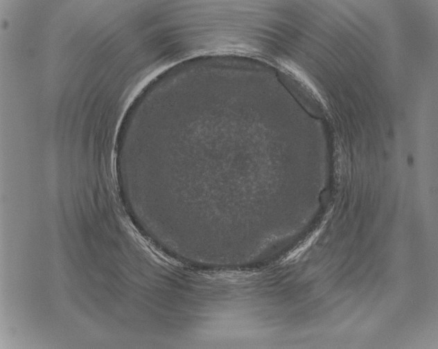 X0000071850932200607141746