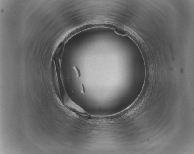 X0000071850934200607141746