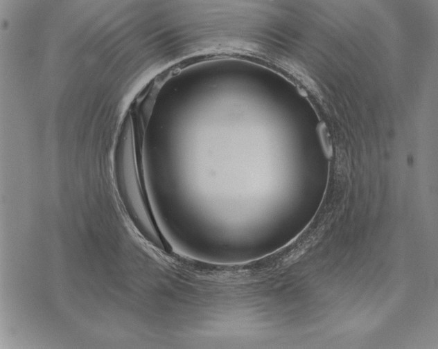 X0000071850936200607141746