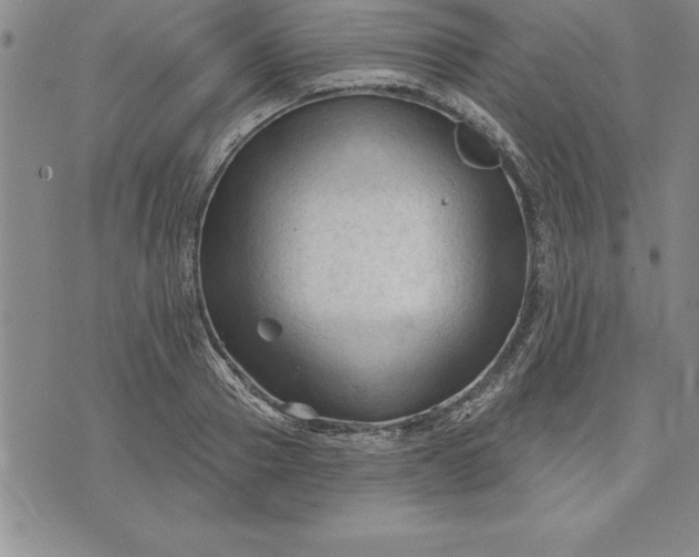 X0000071850937200607141746