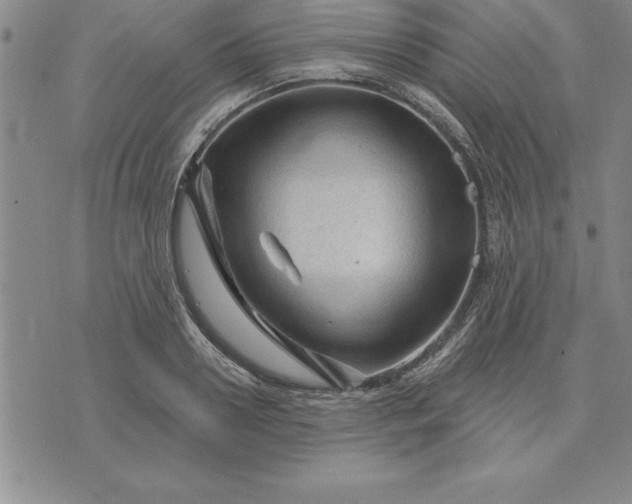 X0000071850938200607141746