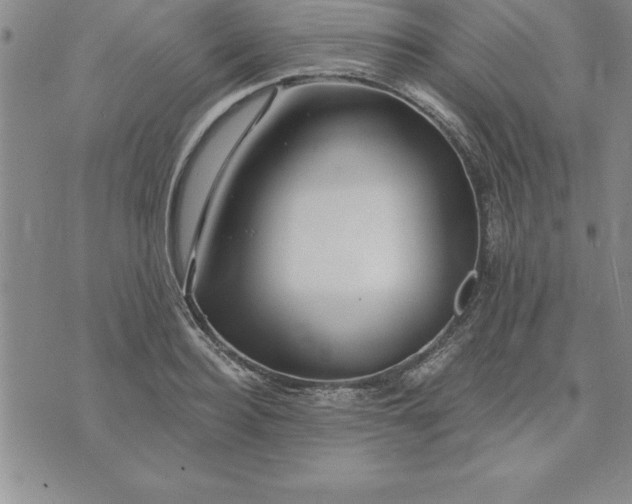 X0000071850940200607141747