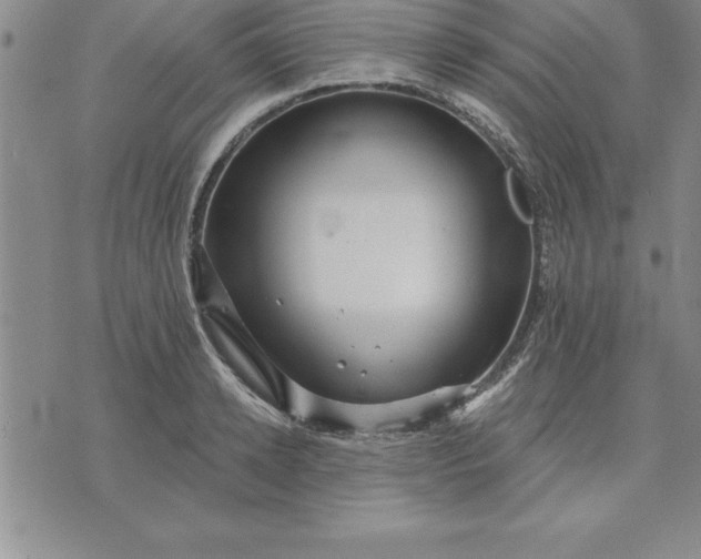 X0000071850942200607141747