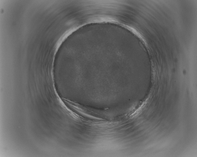 X0000071850943200607141747