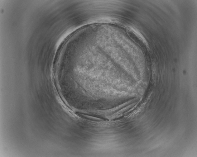 X0000071850944200607141747