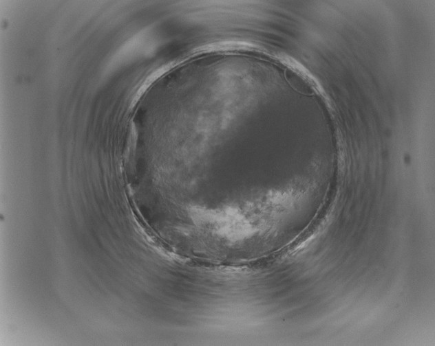 X0000071850945200607141747