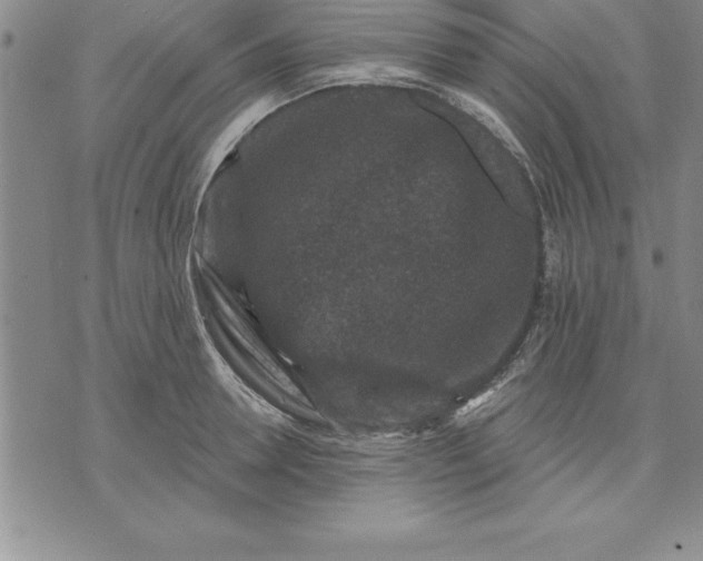 X0000071850946200607141747