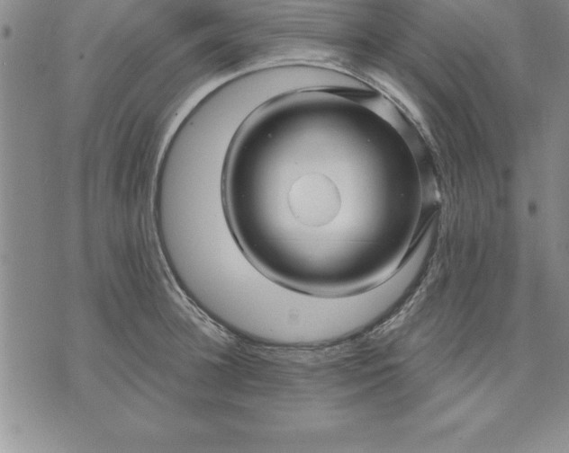 X0000071850948200607141747