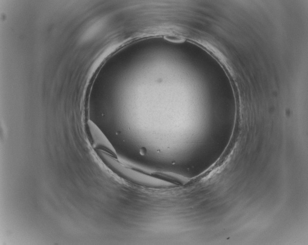 X0000071850949200607141747