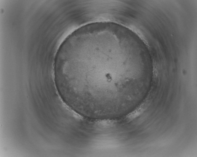 X0000071850950200607141747