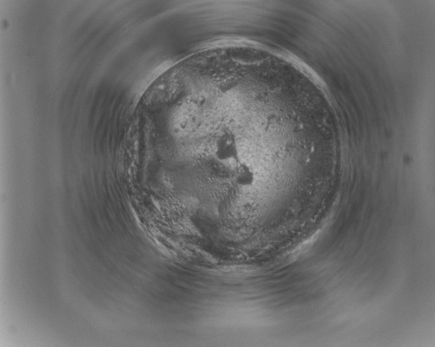 X0000071850953200607141747