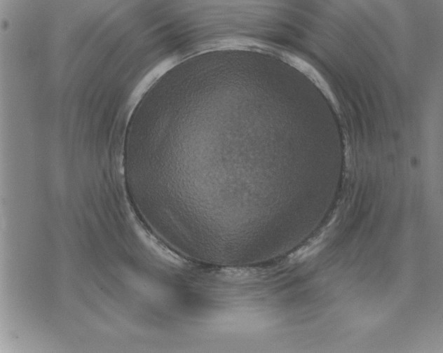 X0000071850954200607141747