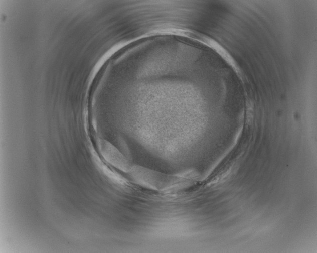 X0000071850955200607141747