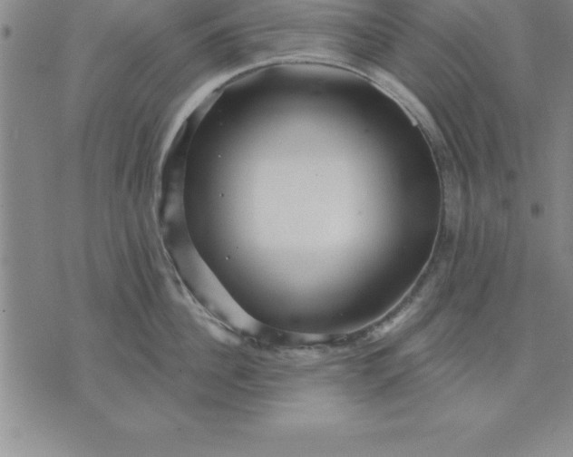 X0000071850956200607141747