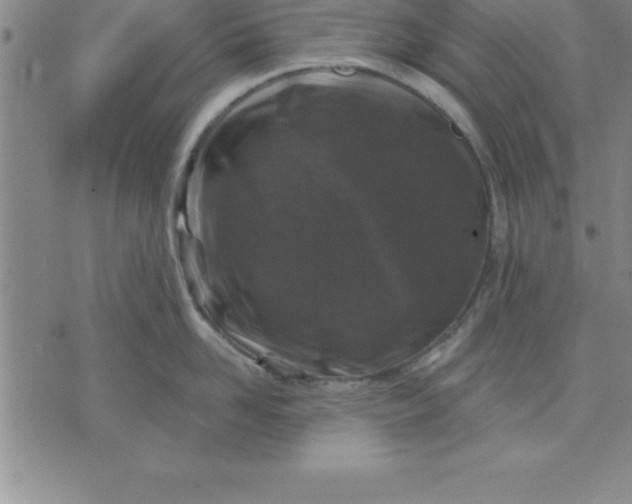 X0000071850958200607141747