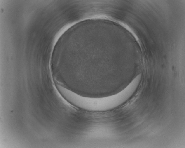 X0000071850959200607141747