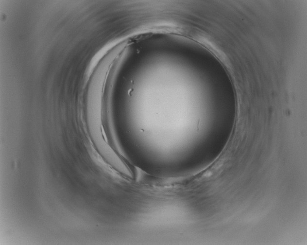 X0000071850960200607141747