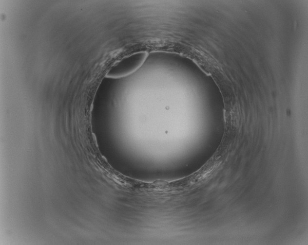 X0000071850961200607141746