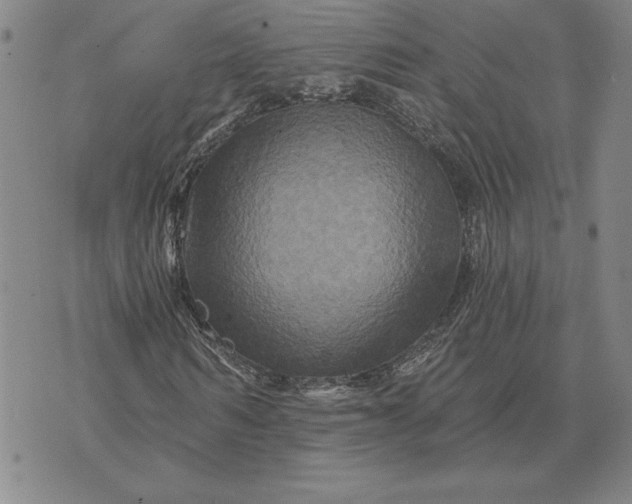 X0000071850962200607141746