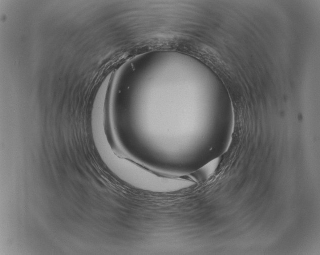 X0000071850964200607141746