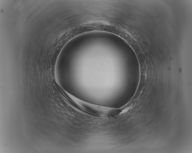 X0000071850965200607141746