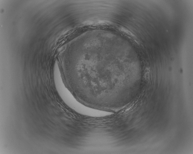 X0000071850966200607141746