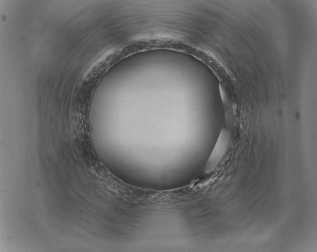 X0000071850967200607141746