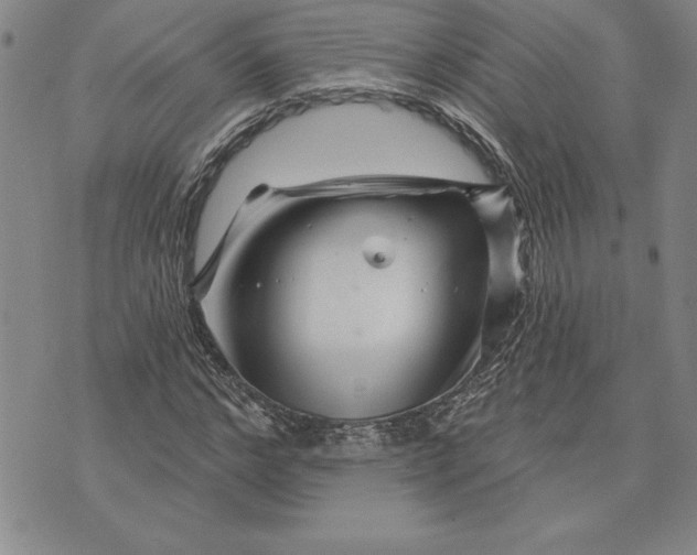 X0000071850968200607141746