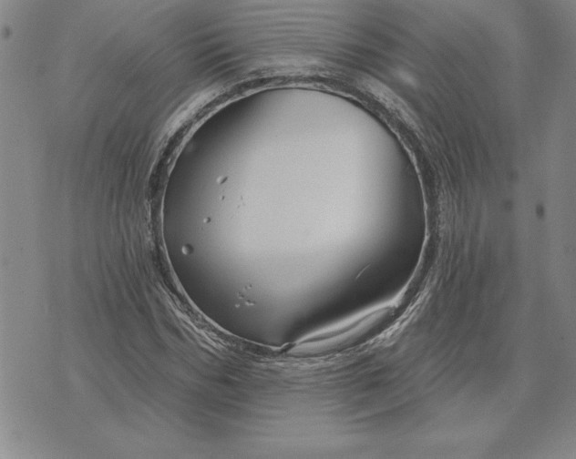 X0000071850970200607141746