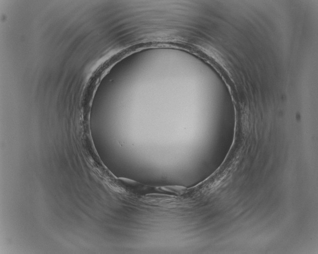 X0000071850971200607141746