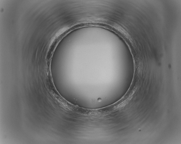 X0000071850974200607141746