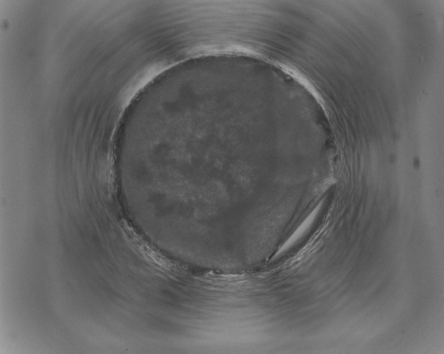 X0000071850975200607141746