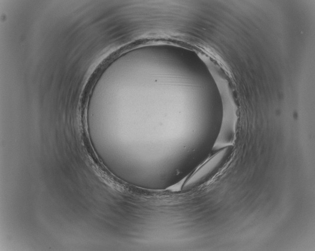 X0000071850976200607141746