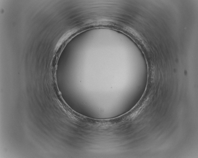 X0000071850978200607141746