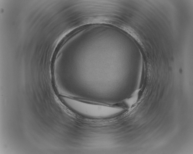 X0000071850980200607141746