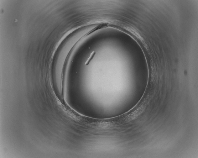 X0000071850984200607141746