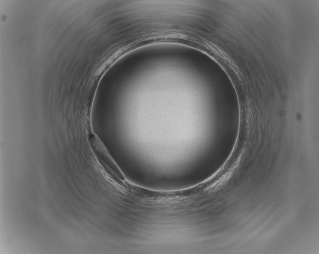 X0000071850985200607141746