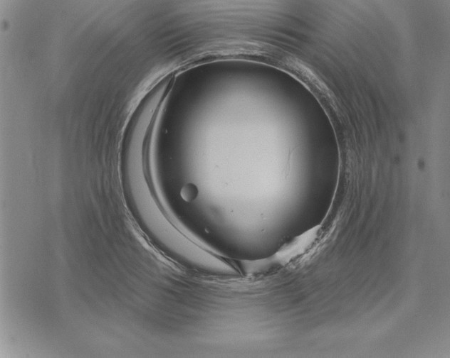 X0000071850986200607141746