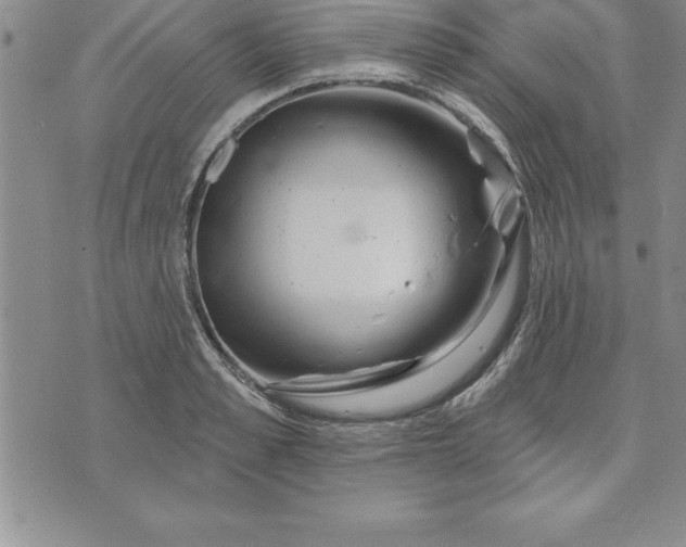 X0000071850989200607141746