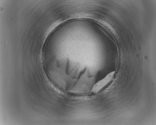 X0000071850990200607141746