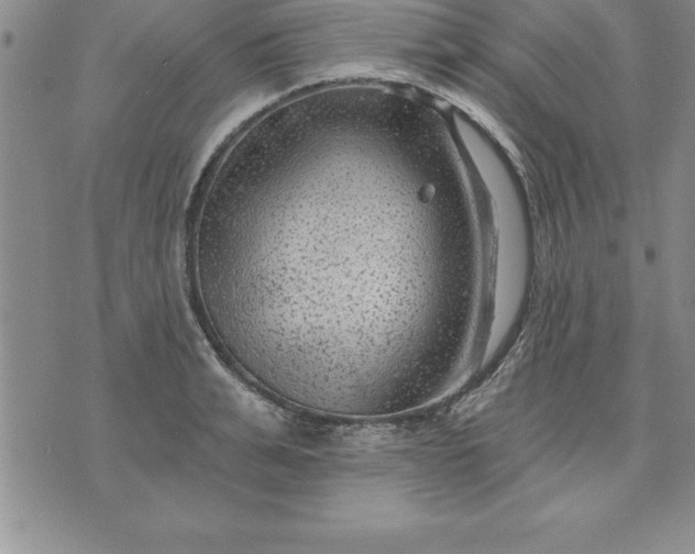 X0000071850991200607141746